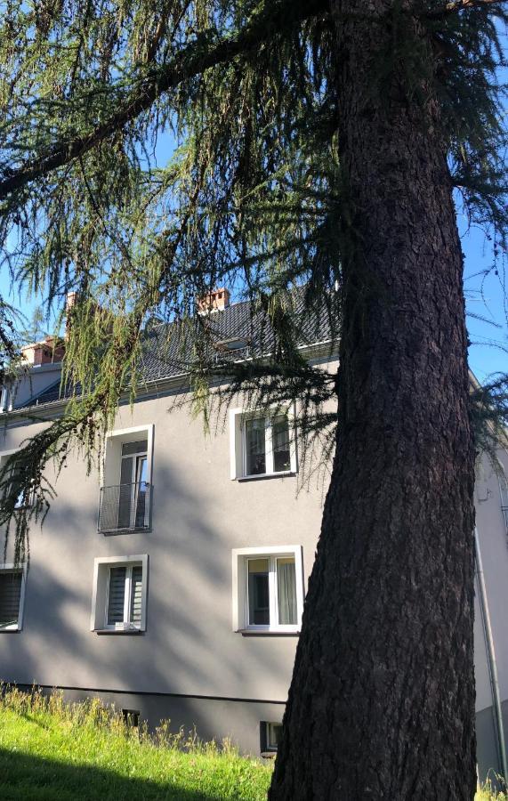 Apartament W Stroniu Stronie Śląskie 外观 照片